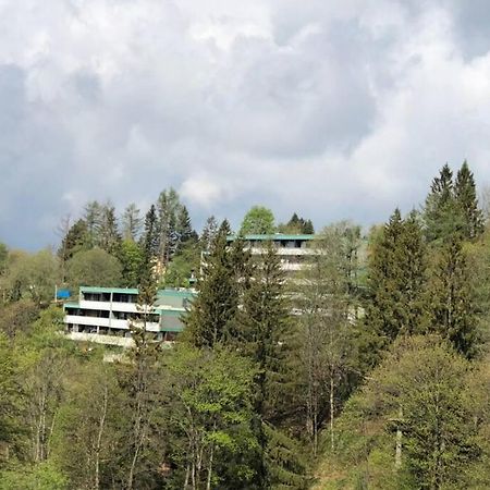 Apartment Harzblick -Neu Modernisiert- Санкт-Андреасберг Екстер'єр фото
