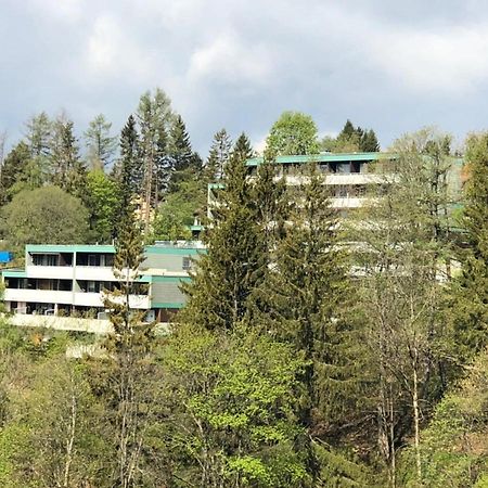 Apartment Harzblick -Neu Modernisiert- Санкт-Андреасберг Екстер'єр фото